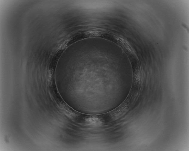 X0000091480759200708231400