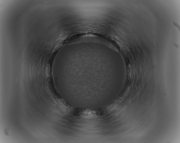 X0000091480760200708231400