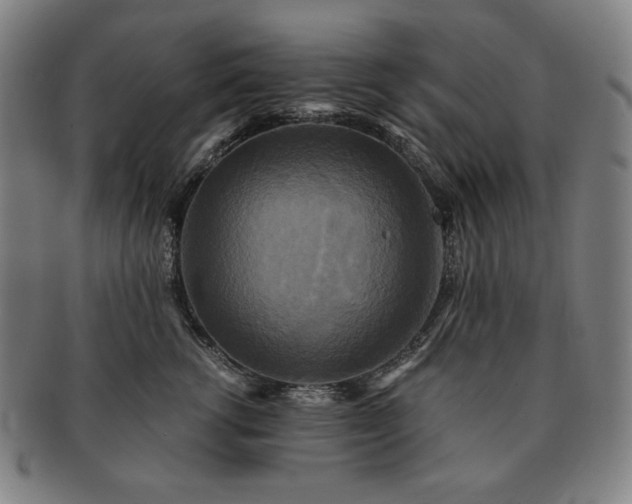 X0000091480762200708231400