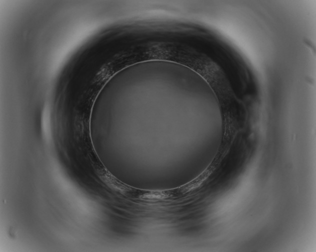 X0000091480765200708231400