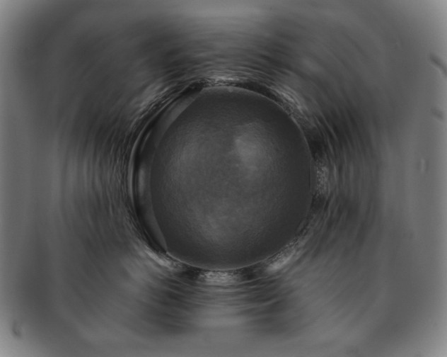 X0000091480766200708231400