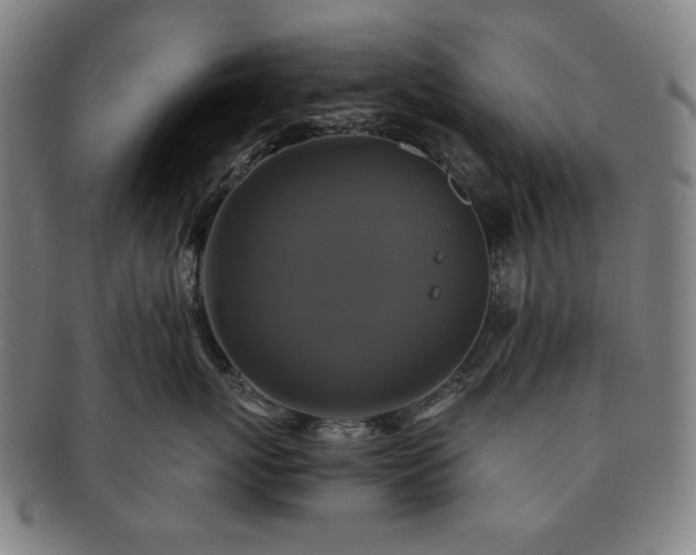 X0000091480767200708231400