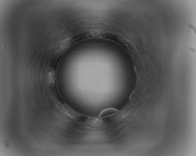 X0000091480768200708231400