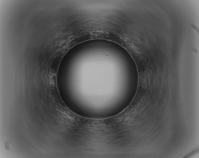 X0000091480770200708231359