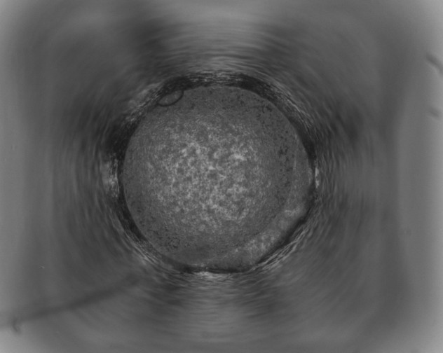 X0000091480771200708231359