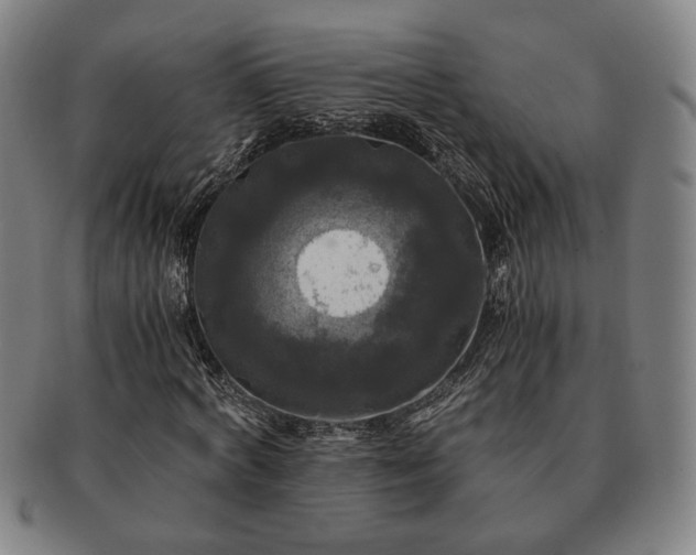 X0000091480772200708231359