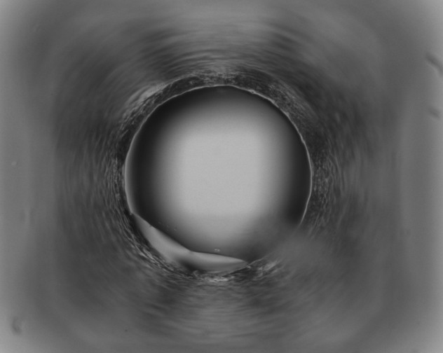 X0000091480773200708231359