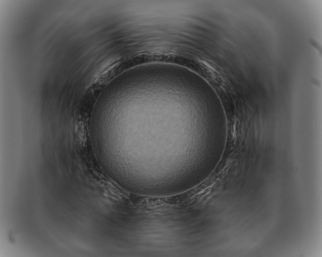 X0000091480774200708231359