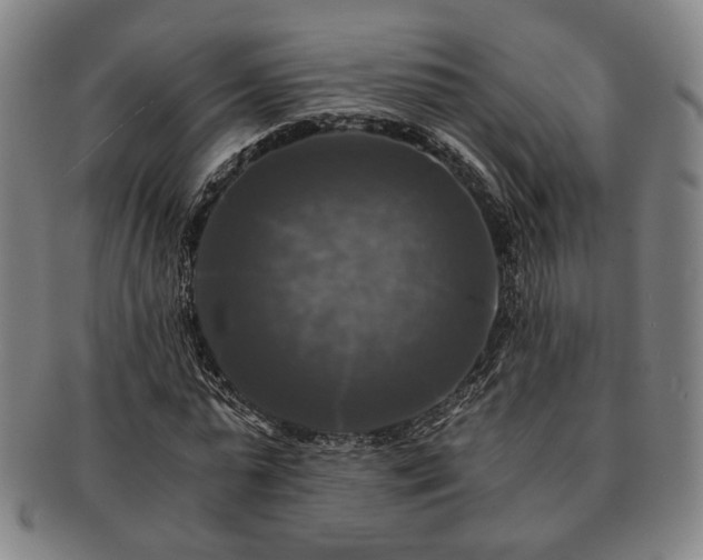 X0000091480775200708231359