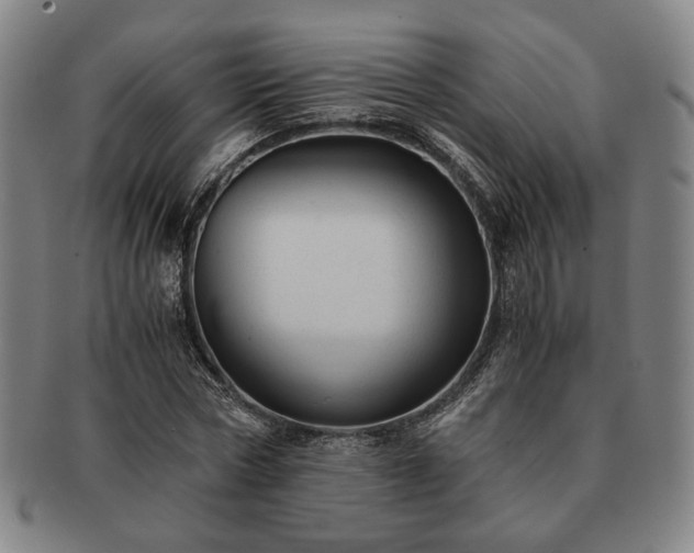 X0000091480778200708231359