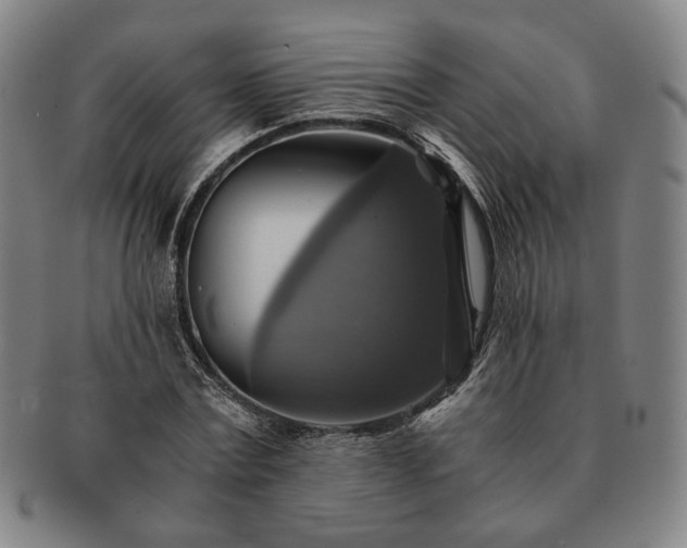 X0000091480779200708231359