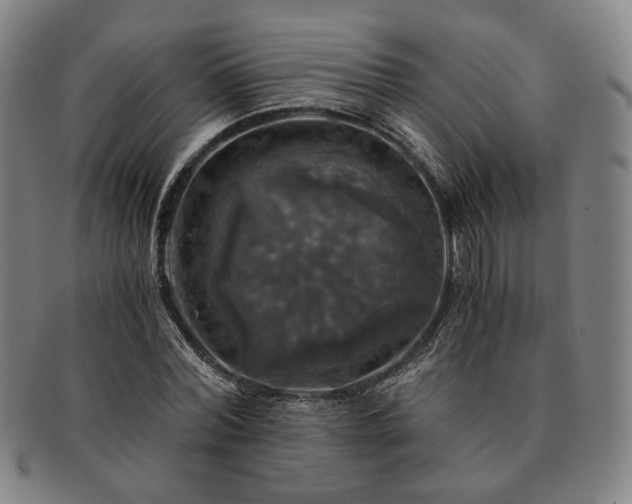 X0000091480780200708231359