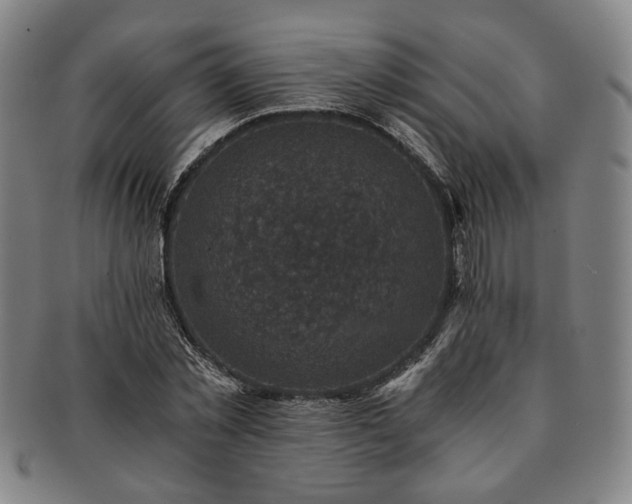 X0000091480781200708231359