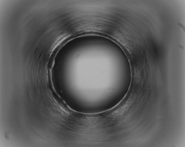 X0000091480782200708231359