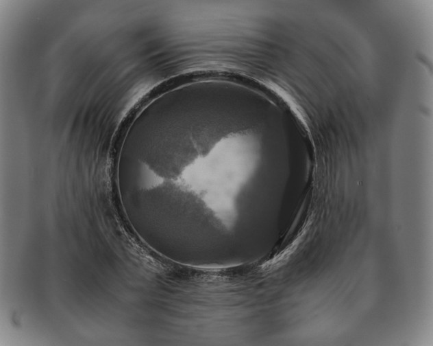 X0000091480783200708231359