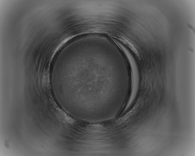 X0000091480784200708231359