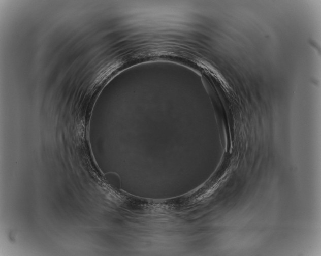 X0000091480785200708231359