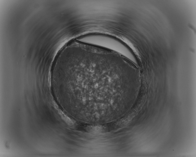 X0000091480791200708231359