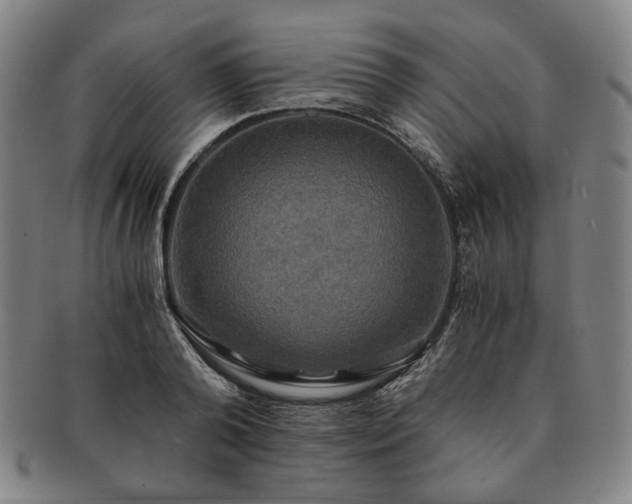 X0000091480792200708231359