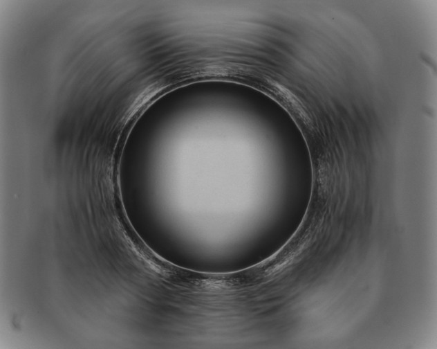 X0000091480794200708231359