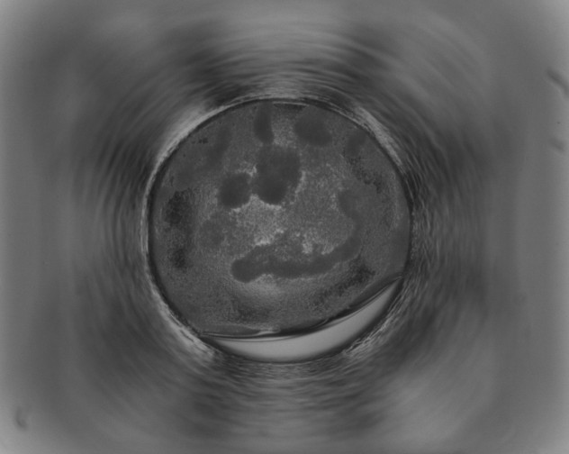 X0000091480795200708231359