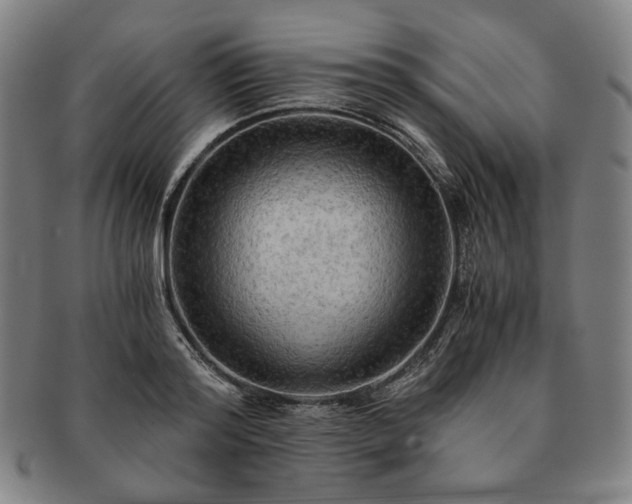 X0000091480796200708231359