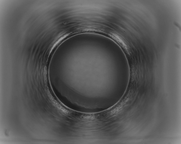 X0000091480798200708231359