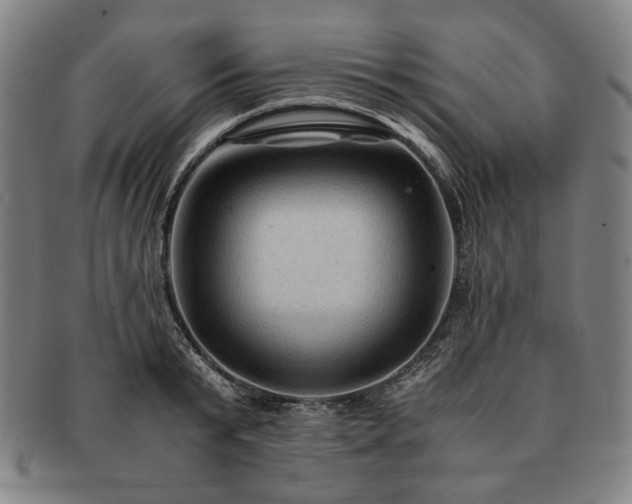 X0000091480799200708231359