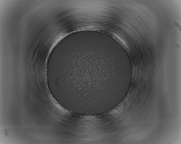 X0000091480800200708231359