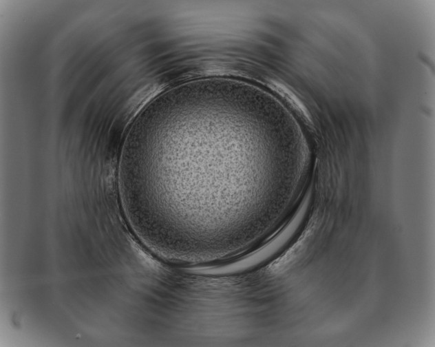 X0000091480801200708231359