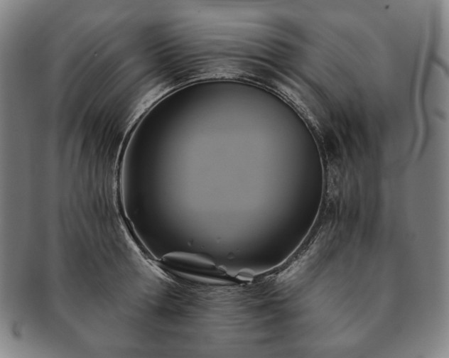 X0000091480802200708231359