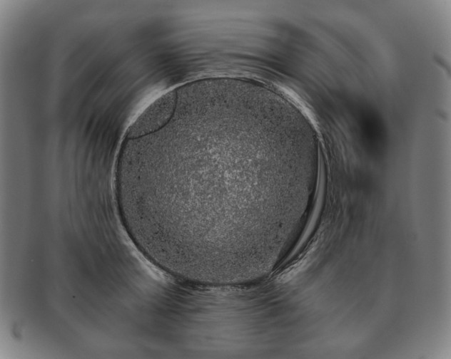 X0000091480803200708231359