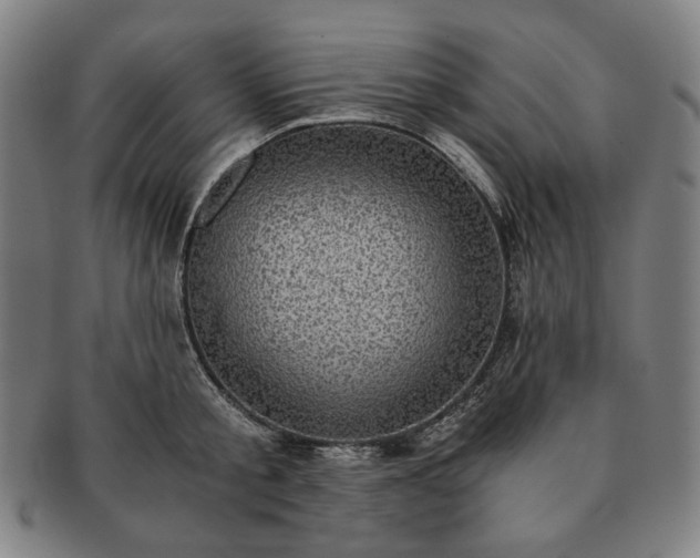 X0000091480805200708231359