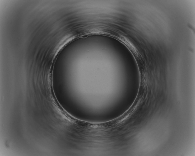 X0000091480806200708231359