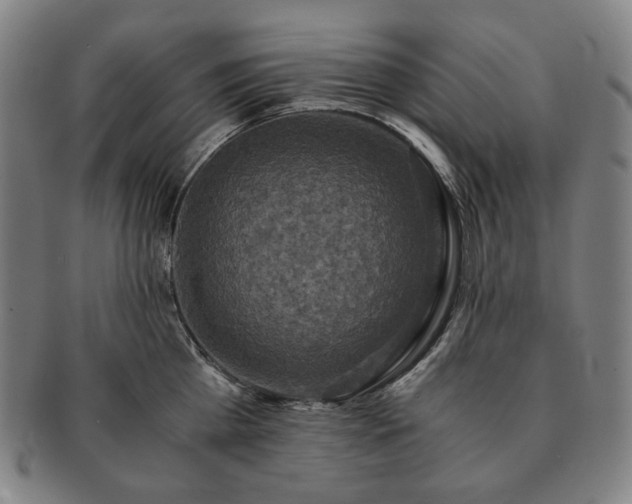 X0000091480809200708231359