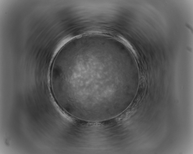 X0000091480811200708231359