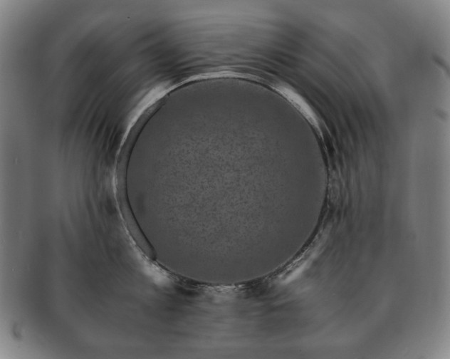 X0000091480813200708231359