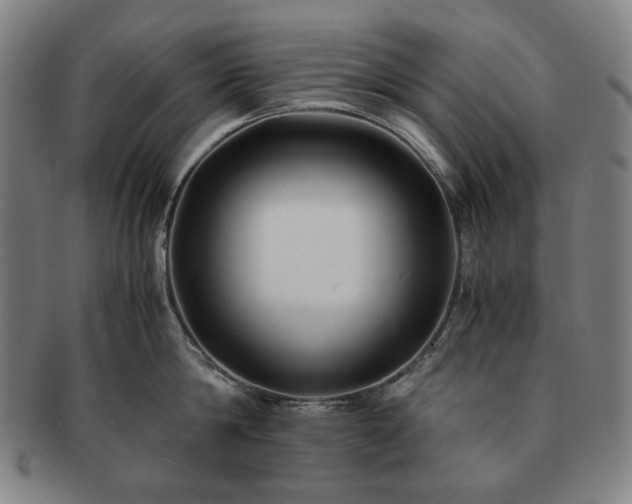 X0000091480814200708231359