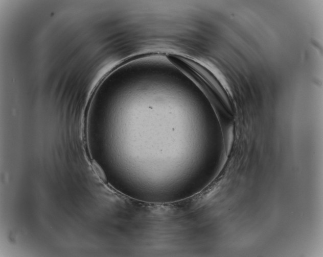 X0000091480815200708231359