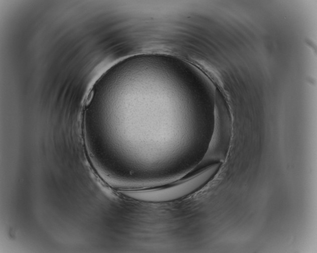 X0000091480816200708231359