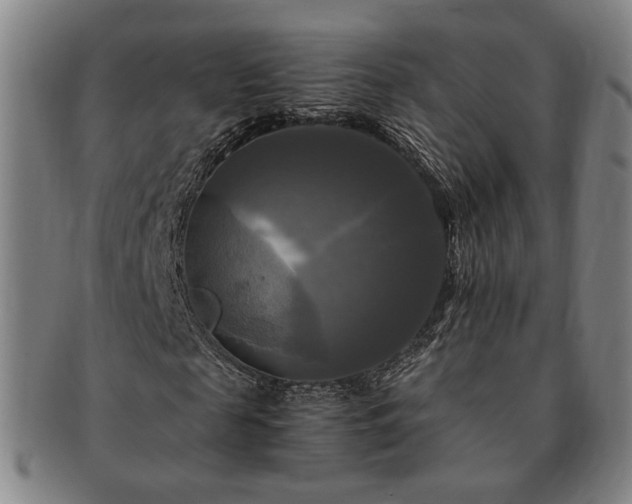 X0000091480817200708231358