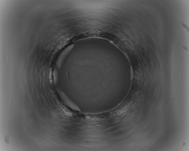 X0000091480818200708231358