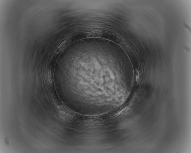 X0000091480819200708231358