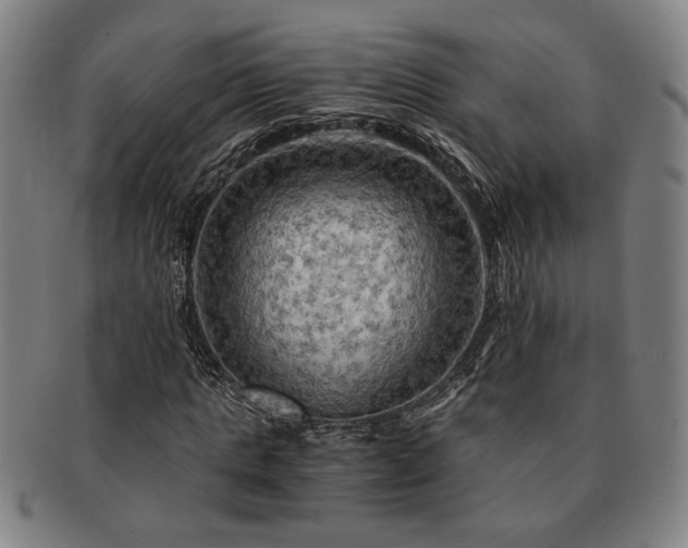 X0000091480821200708231358