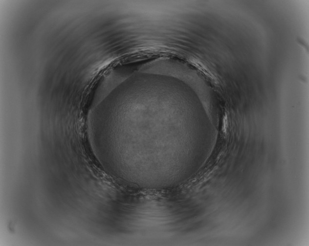 X0000091480822200708231358