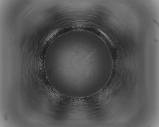 X0000091480823200708231358