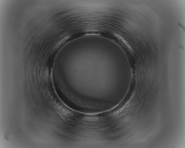 X0000091480825200708231358