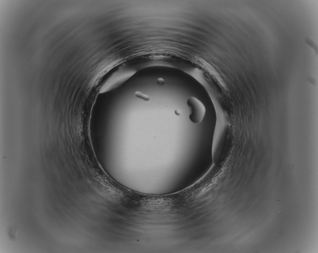 X0000091480826200708231358