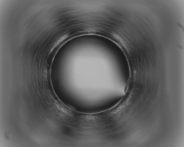 X0000091480827200708231358