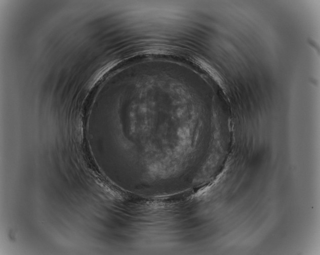 X0000091480829200708231358